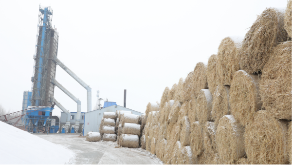 煤炭價格高，烘糧利潤低，吉林大安市500噸糧食烘干塔改用秸稈大包直燃鍋爐，每天省3萬